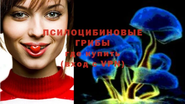 Альфа ПВП Алзамай