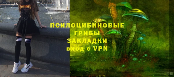 PSILOCYBIN Абинск