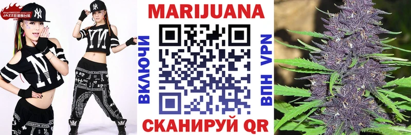 Бошки Шишки гибрид  shop формула  Отрадная  что такое  